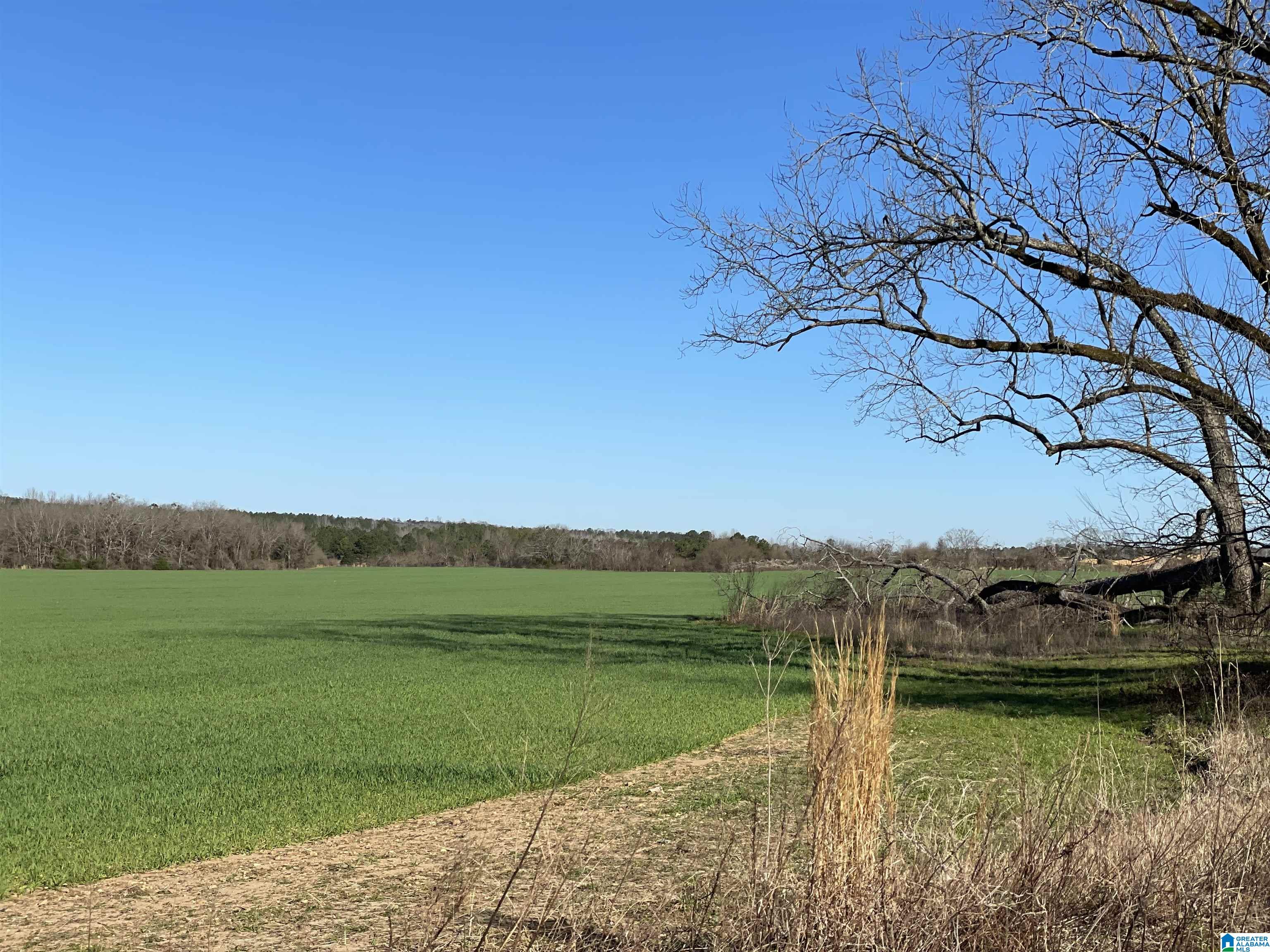 123 County Road, Unit 1 Marbury, AL 36051 - Photo 1 of 9