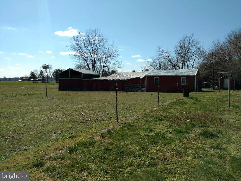 30473 Gene Gibson Road Easton, MD 21601 - Photo 5 of 10 Exterior (General)