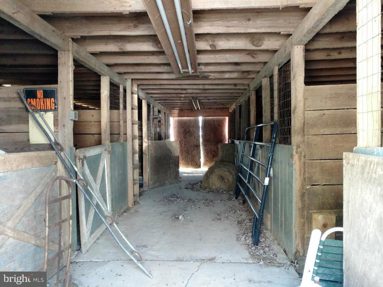 30473 Gene Gibson Road Easton, MD 21601 - Photo 8 of 10 7 Stall barn