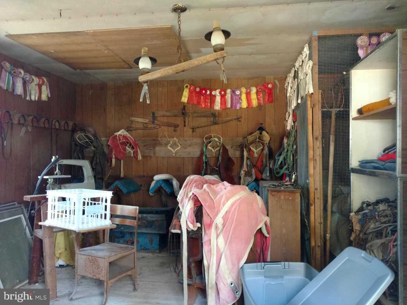 30473 Gene Gibson Road Easton, MD 21601 - Photo 9 of 10 Tack room