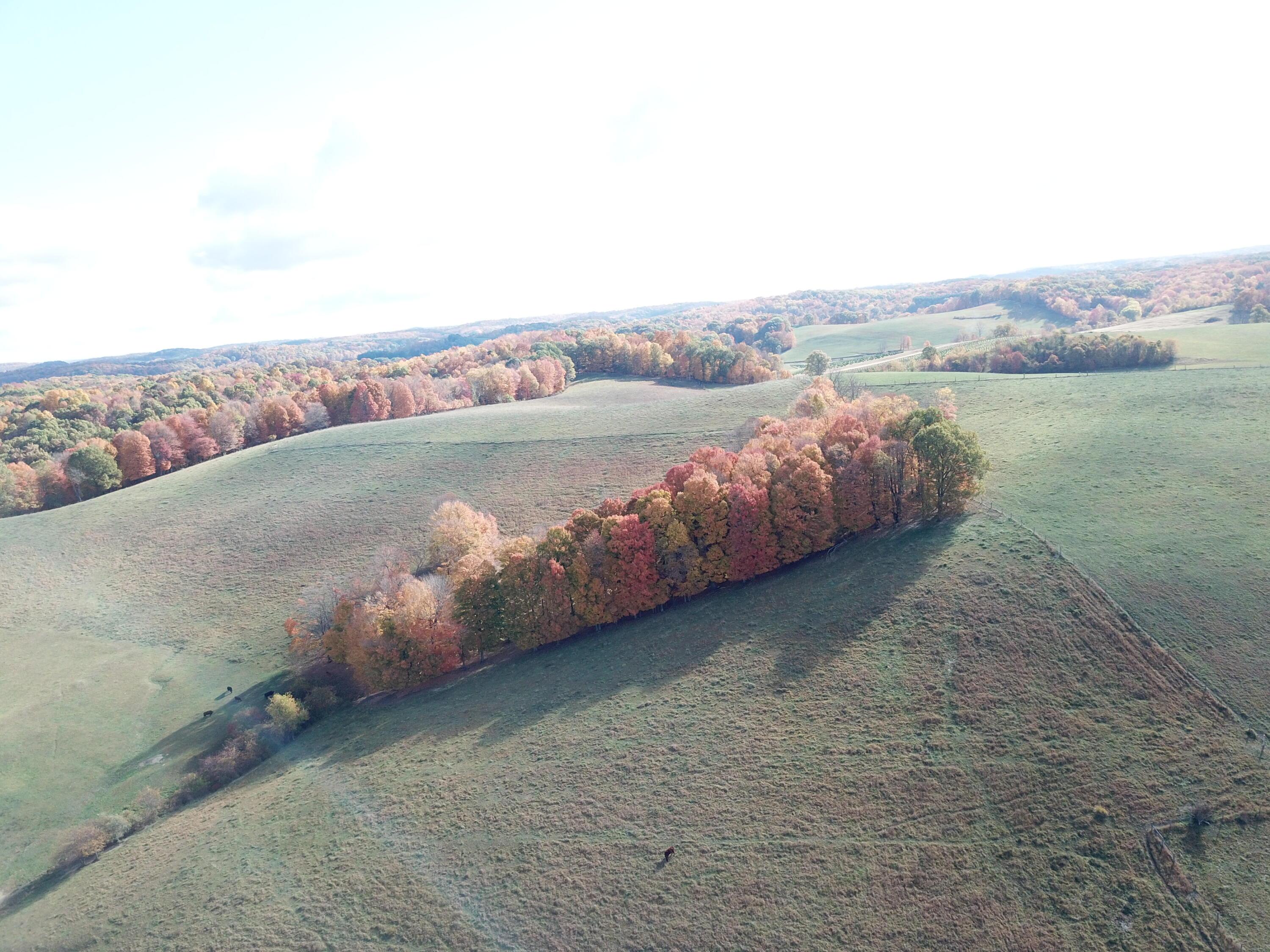 0 Beal Road Southeast, Unit TRACT 4 Newark, OH 43056 - Photo 5 of 48 DJI_0291