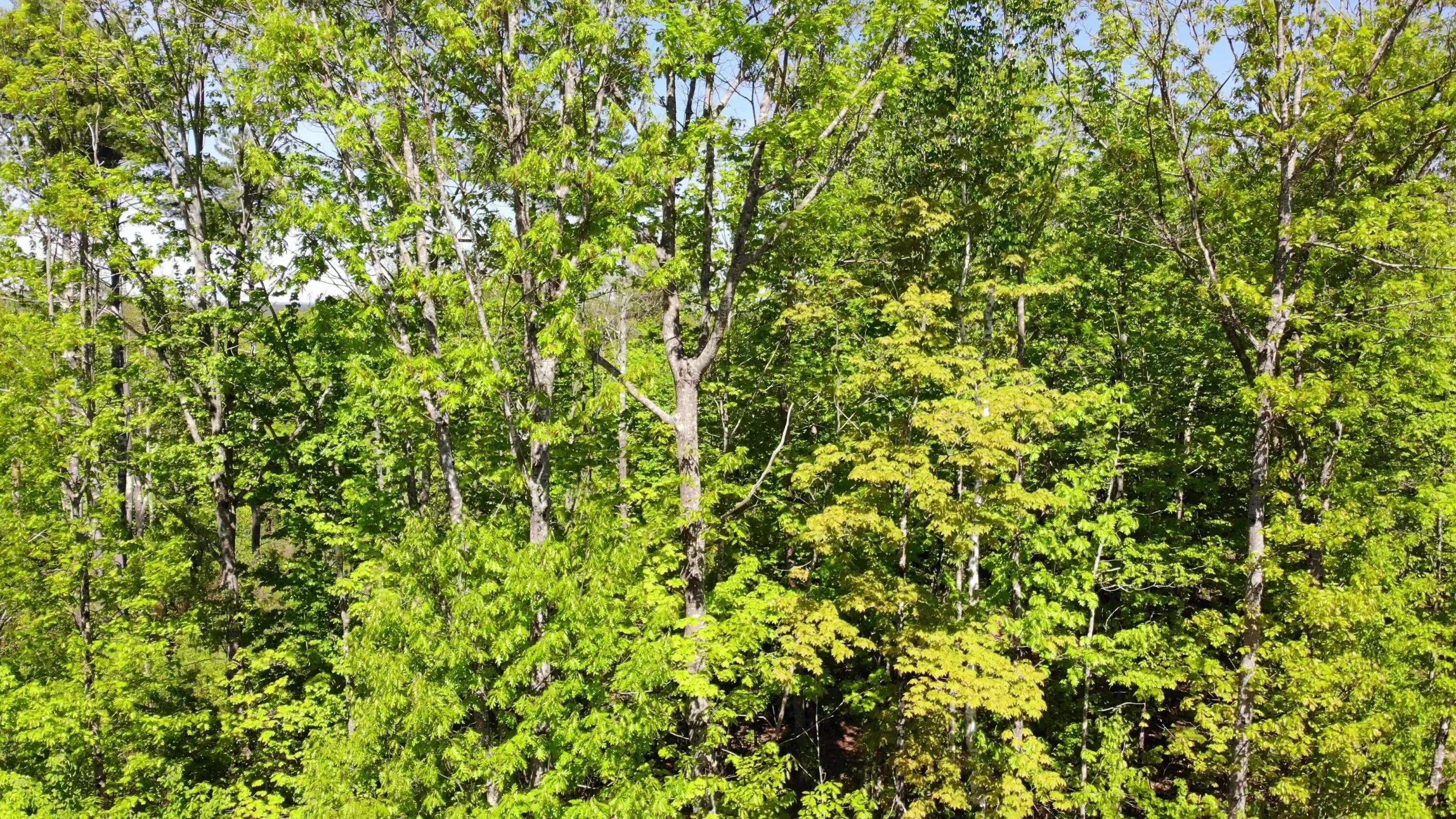 250 Drews Mills Road Biddeford, ME 04005 - Photo 27 of 28 DJI_0138 - frame at 2m26s