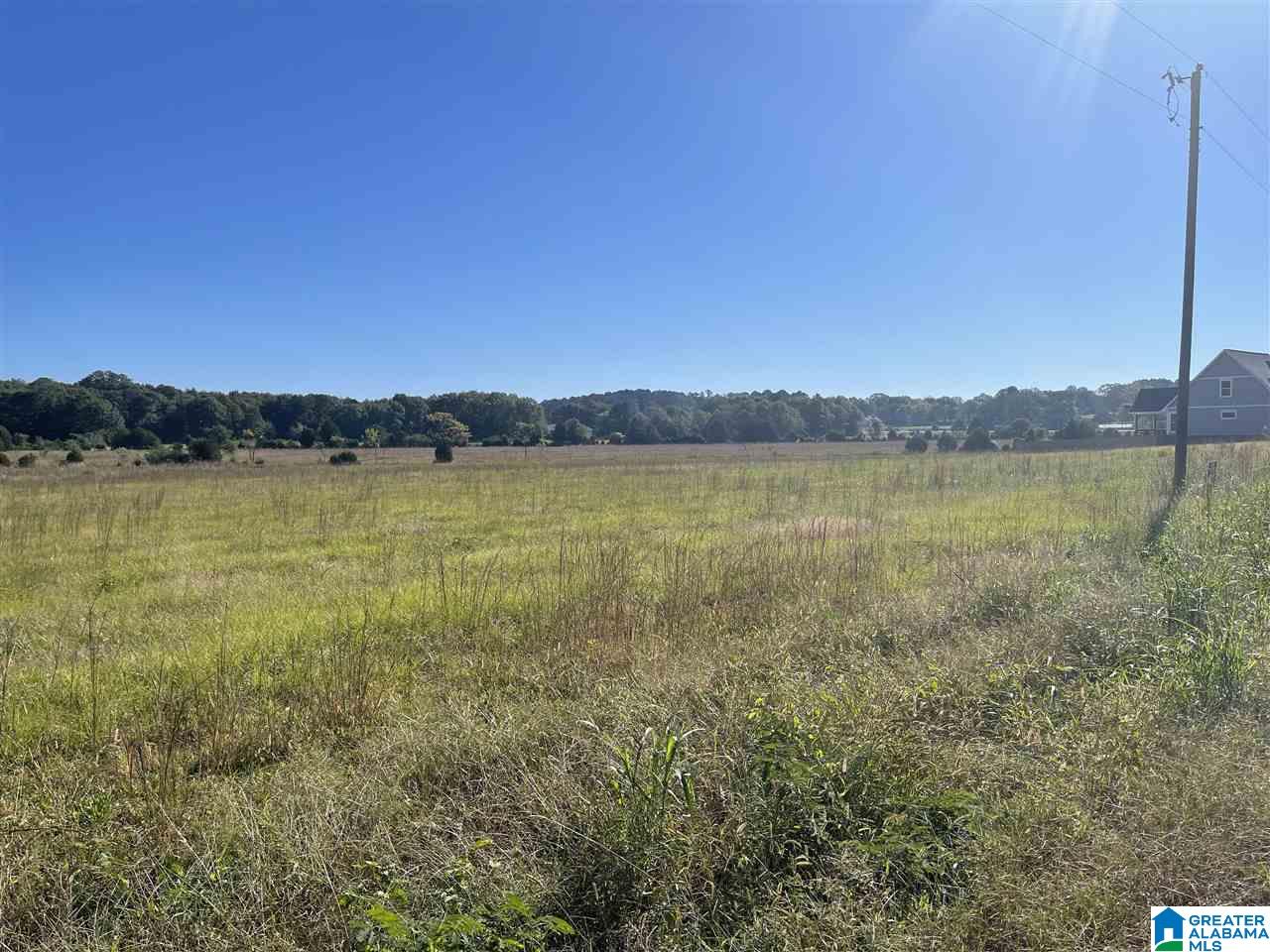 615-635 Watson Road, Unit 2 & 3 Cropwell, AL 35054 - Photo 3 of 13