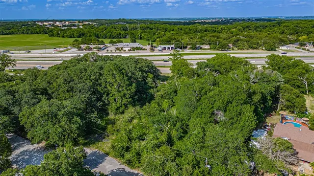 a view of a yard with plants and trees in the background