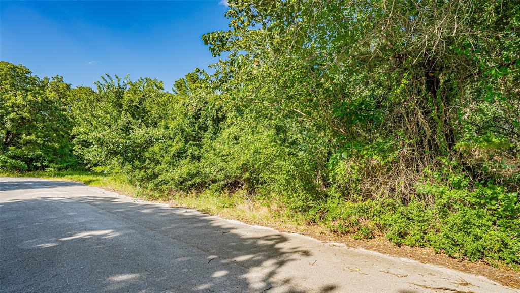 717 Mary Lou Azle, TX 76020 - Photo 19 of 28 a view of a yard with plants and trees in the background
