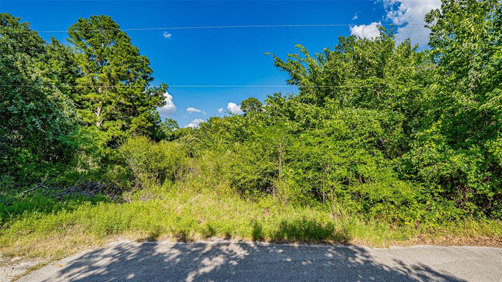 717 Mary Lou Azle, TX 76020 - Photo 20 of 28 a view of a yard