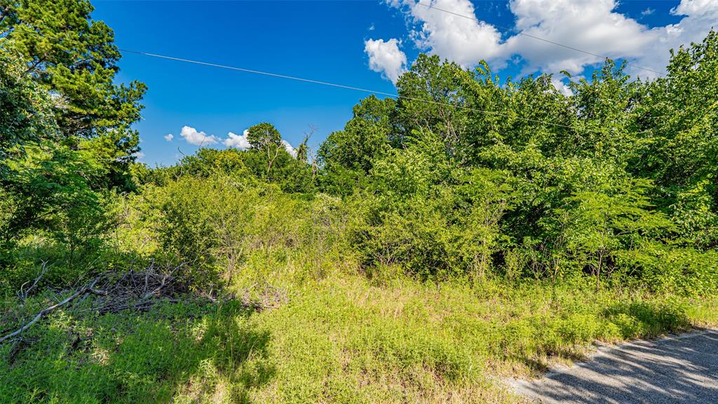 717 Mary Lou Azle, TX 76020 - Photo 21 of 28 a view of a garden