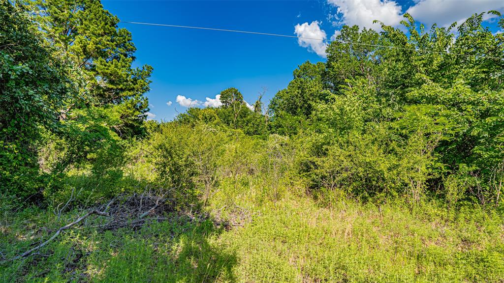 717 Mary Lou Azle, TX 76020 - Photo 22 of 28