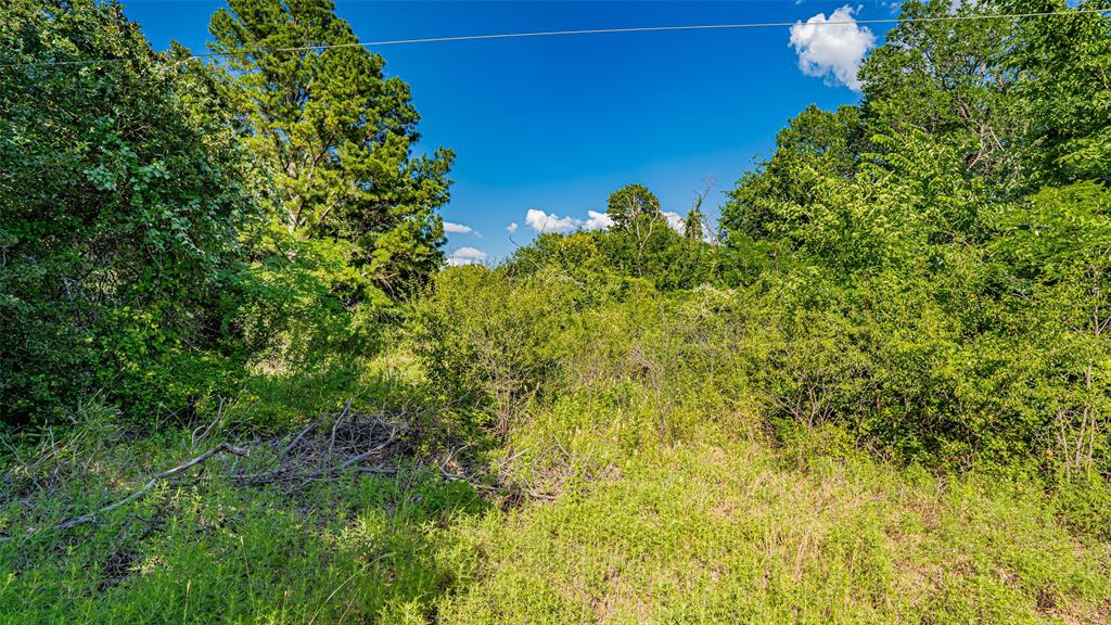 717 Mary Lou Azle, TX 76020 - Photo 23 of 28 a view of a tree in a garden