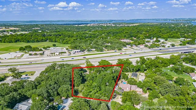 a close up of a flower in a garden