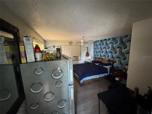 a view of a yard with plants and large trees