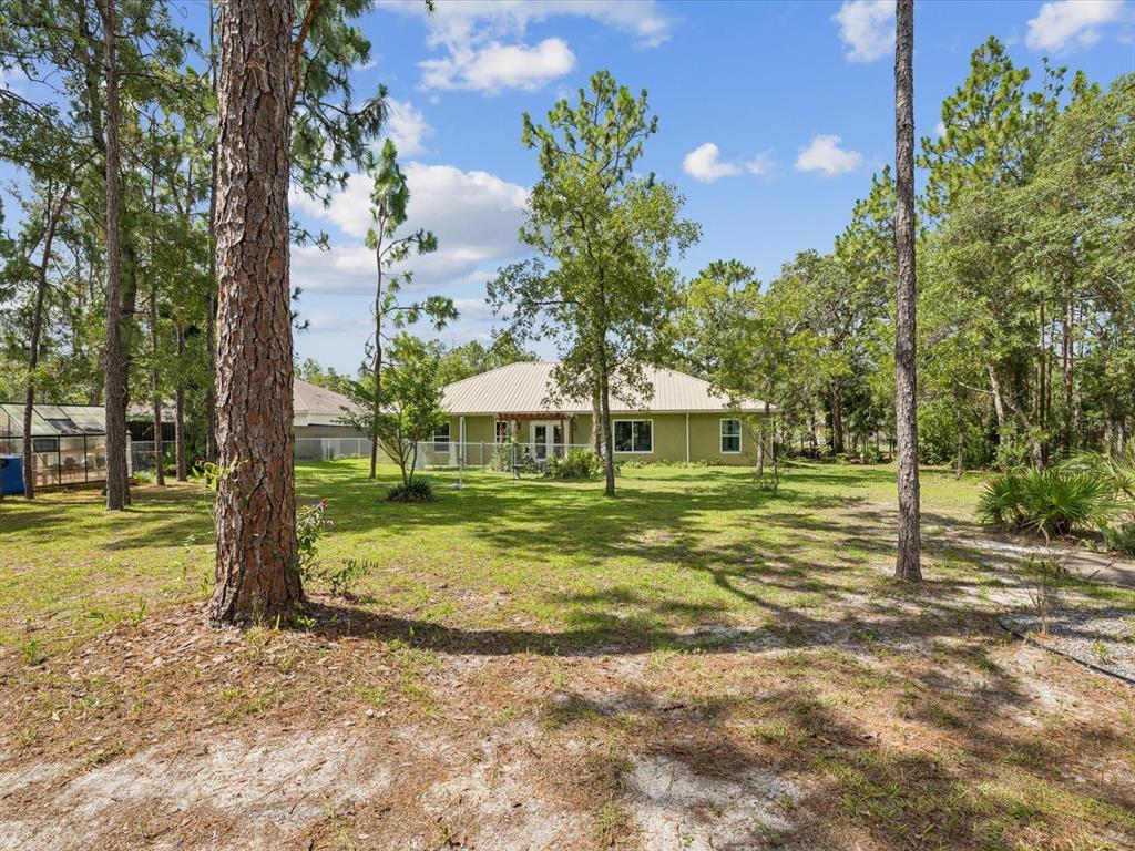 12229 Barnevelde Road Weeki Wachee, FL 34614 - Photo 41 of 63