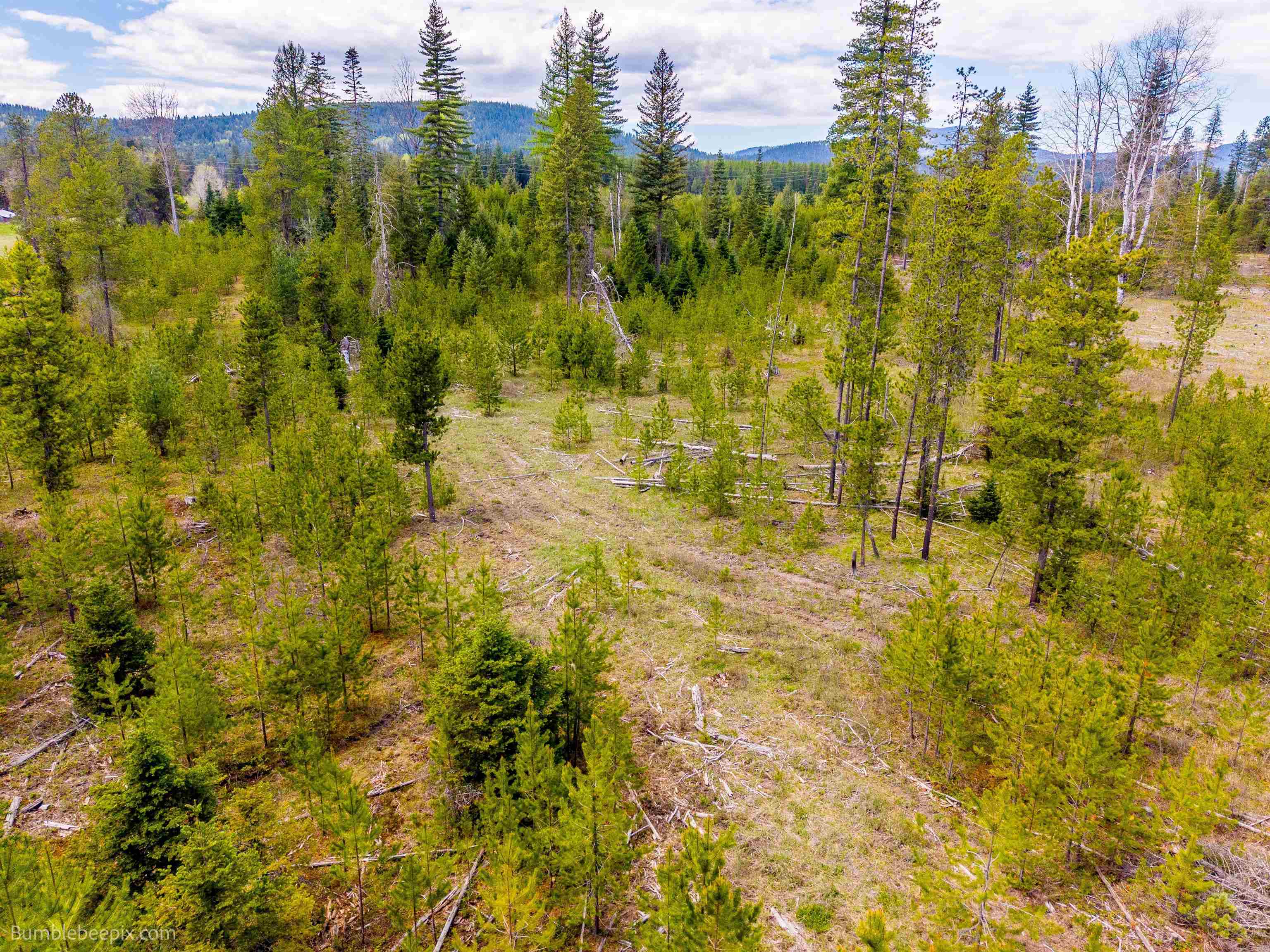 Nkn Nkn Evergreen Road Cusick, WA 99119 - Photo 7 of 14 Gallery Image 7