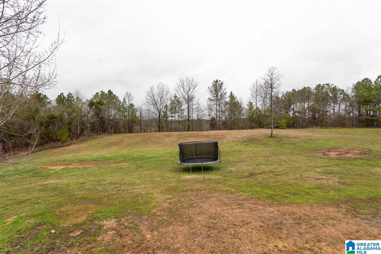 735 Providence Road Ragland, AL 35131 - Photo 40 of 41