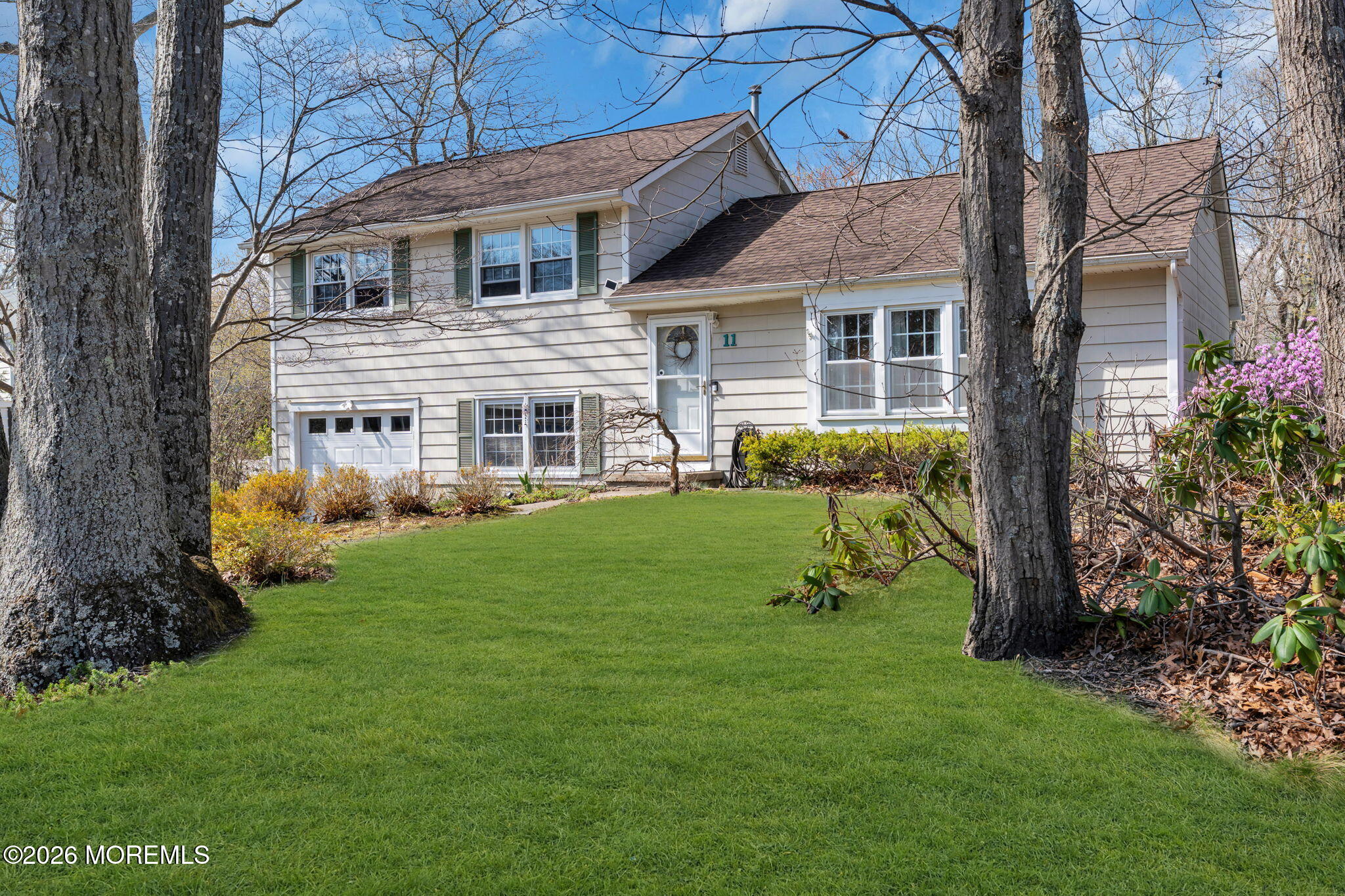 3-web-or-mls-DSC09054-1