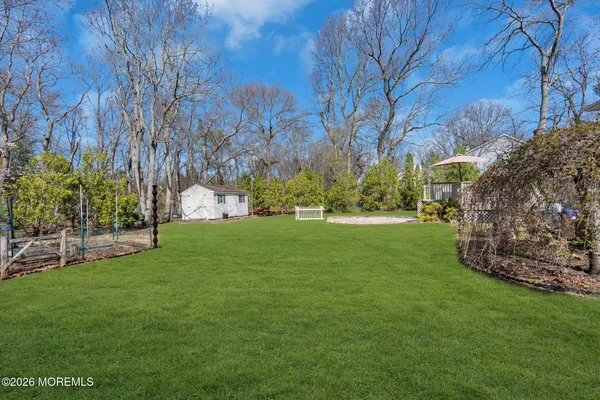a view of yard with tree s
