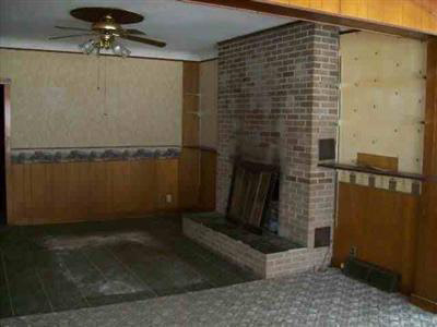 433 Main Elsie, MI 48831 - Photo 3 of 4 20117117-2.JPG