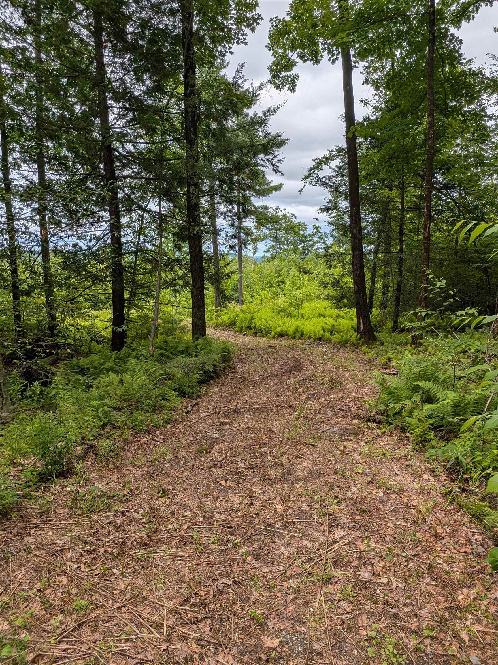 58-6-2 Duggin Road Wilton, NH 03086 - Photo 4 of 14