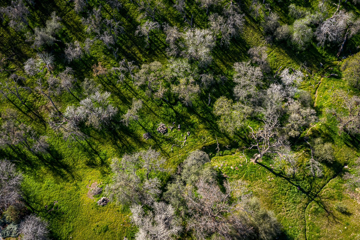 41815 Quail Run Drive Three Rivers, CA 93271 - Photo 16 of 17 DJI_0313-HDR
