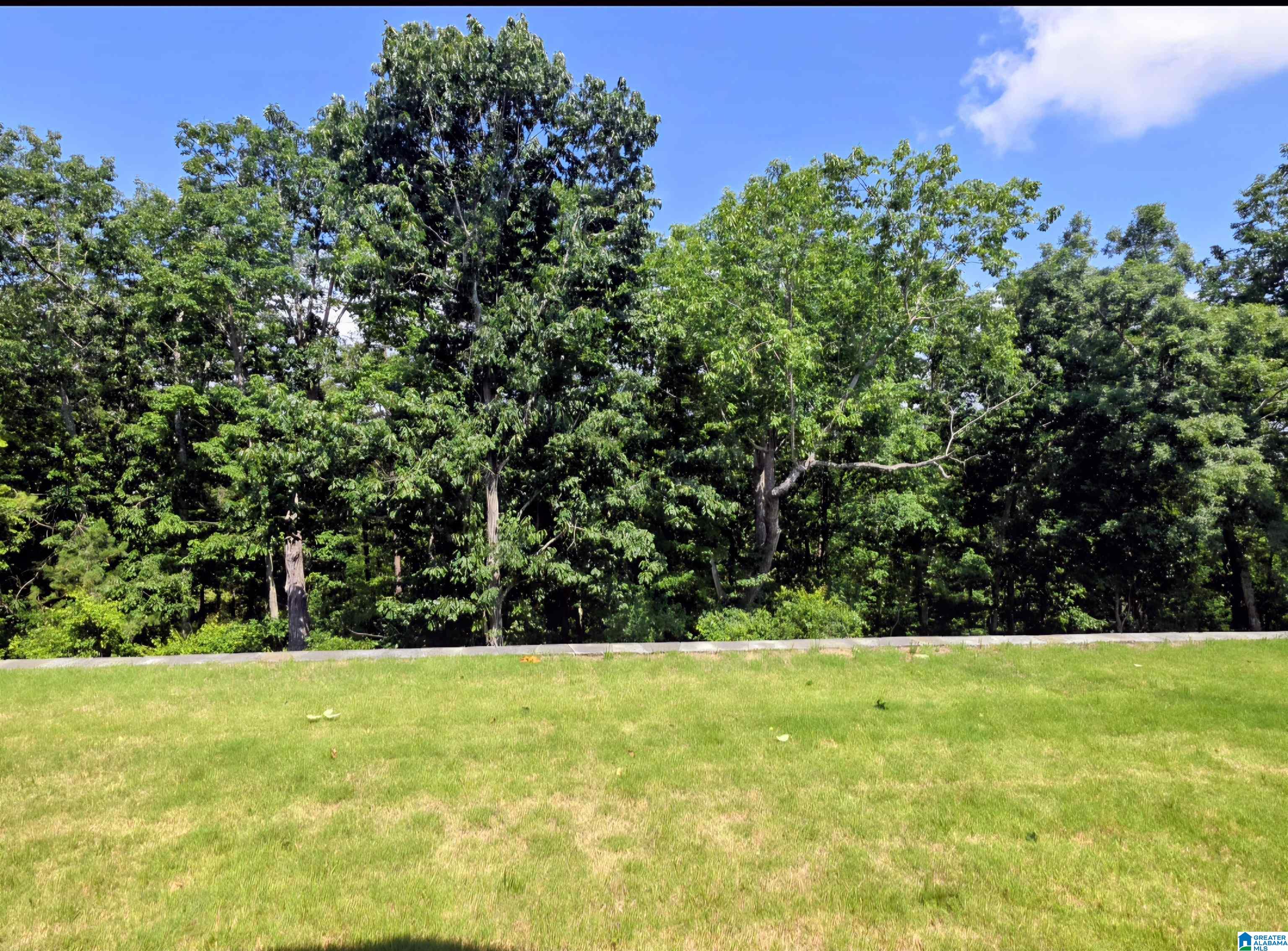 8754 Highlands Drive Trussville, AL 35173 - Photo 26 of 29