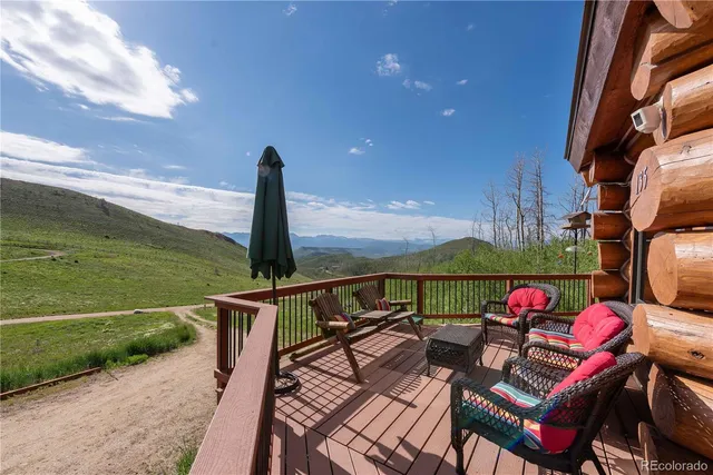 a view of a house with a small yard plants and large tree