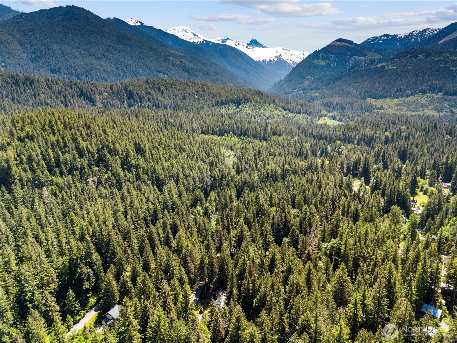 7101 Rainier Way Glacier, WA 98244 - Photo 31 of 38 a view of a lush green hillside and a mountain