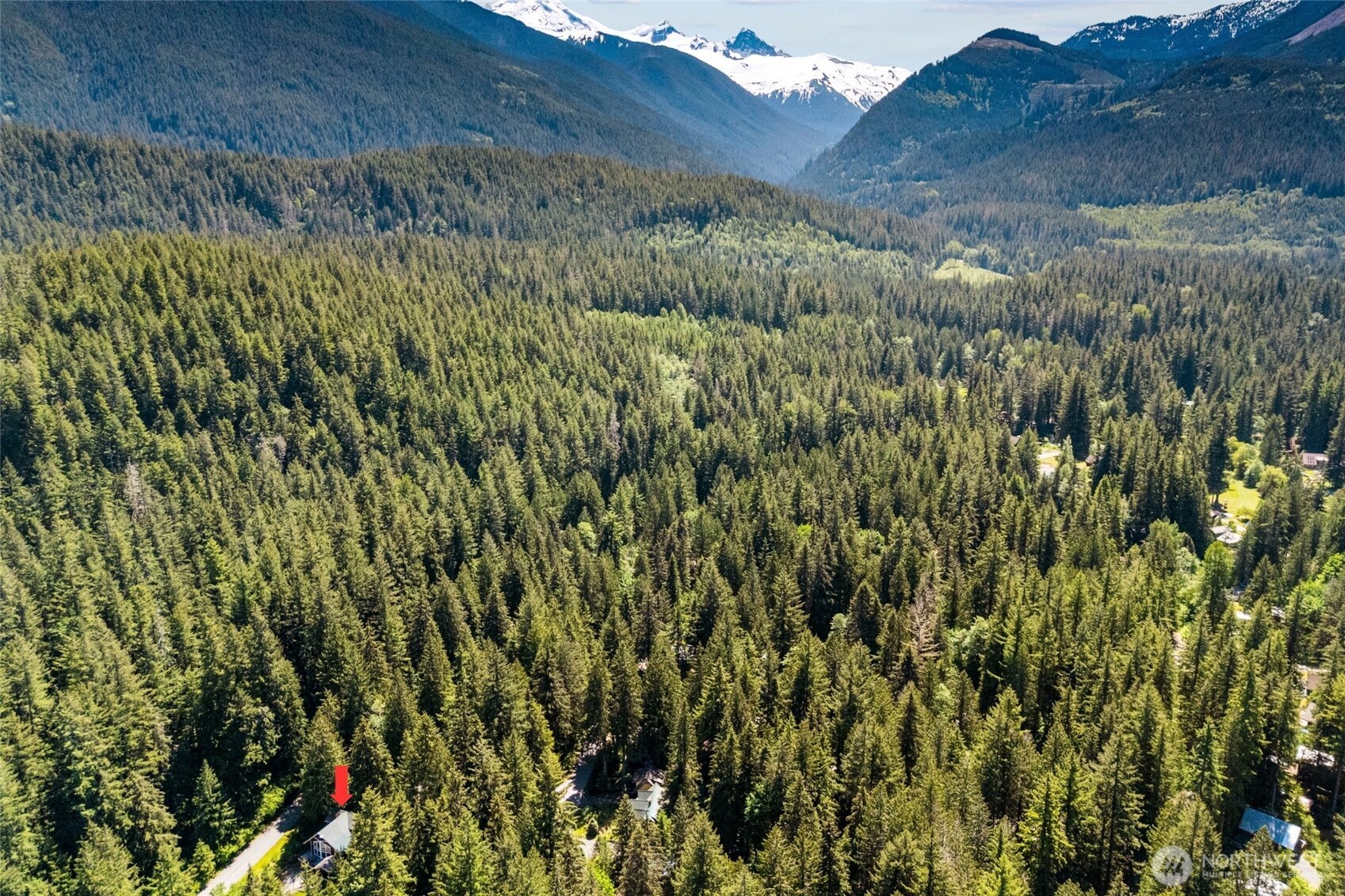 7101 Rainier Way Glacier, WA 98244 - Photo 32 of 38 a view of a bunch of trees and bushes