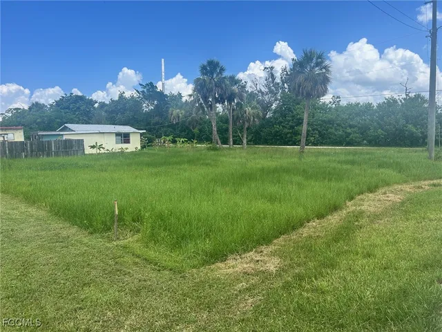 a view of a big yard next to a house
