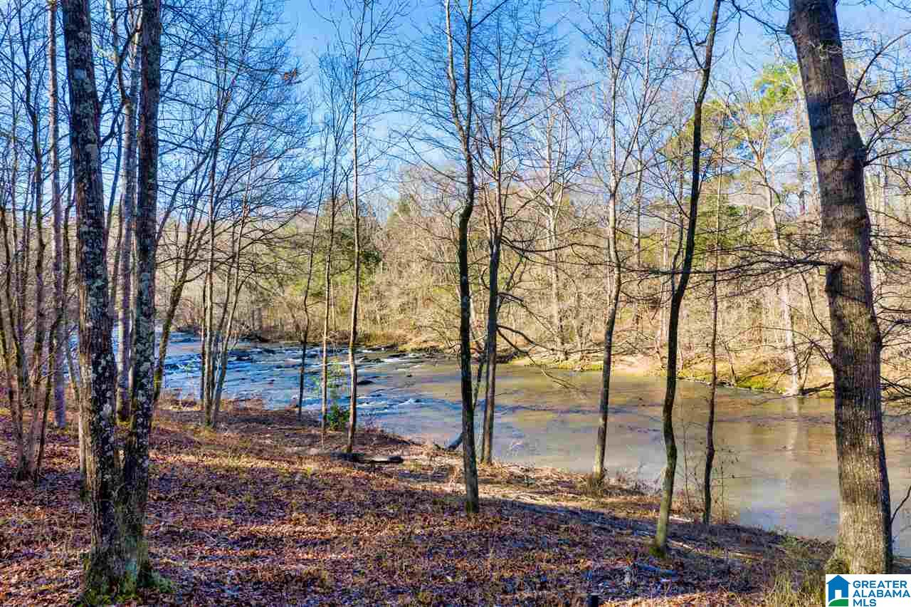 0 County Road 8, Unit 1 Clanton, AL 35045 - Photo 9 of 30