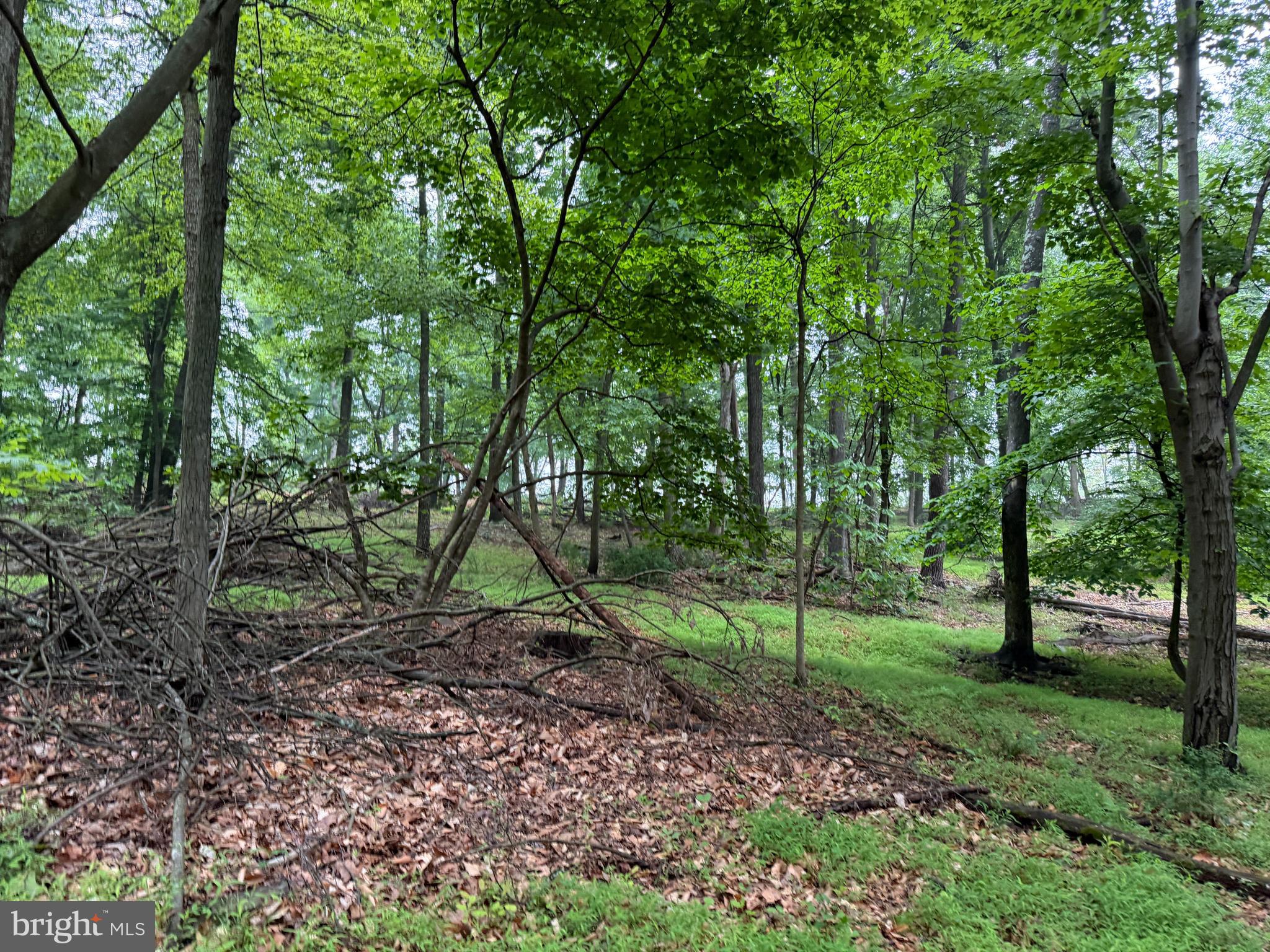 11915 Cove Road Clear Spring, MD 21722 - Photo 75 of 86