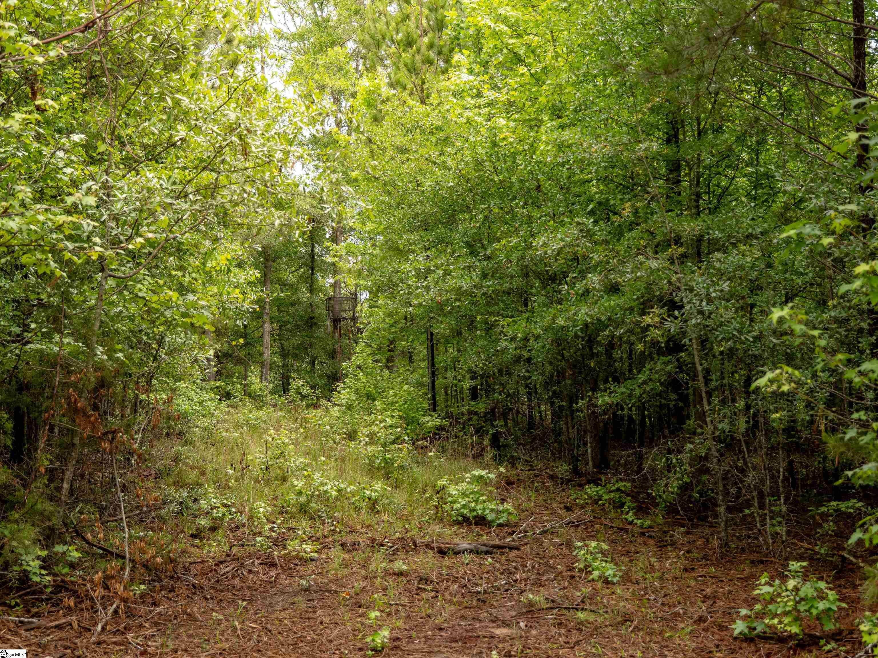 0 Terry Road, Unit LOT 2 Fountain Inn, SC 29644 - Photo 22 of 27 Gallery Image 22