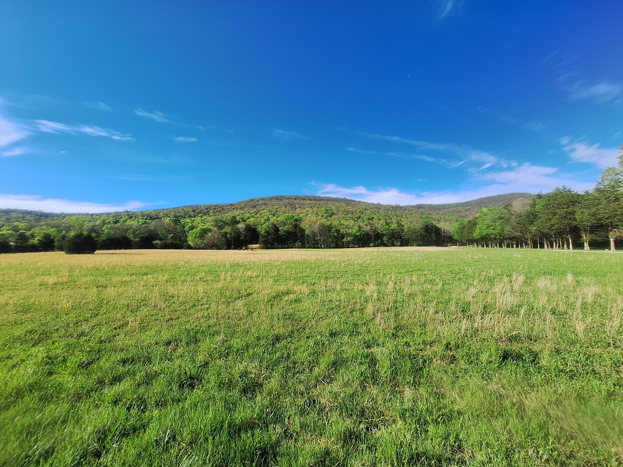 a view of outdoor space with green field and trees