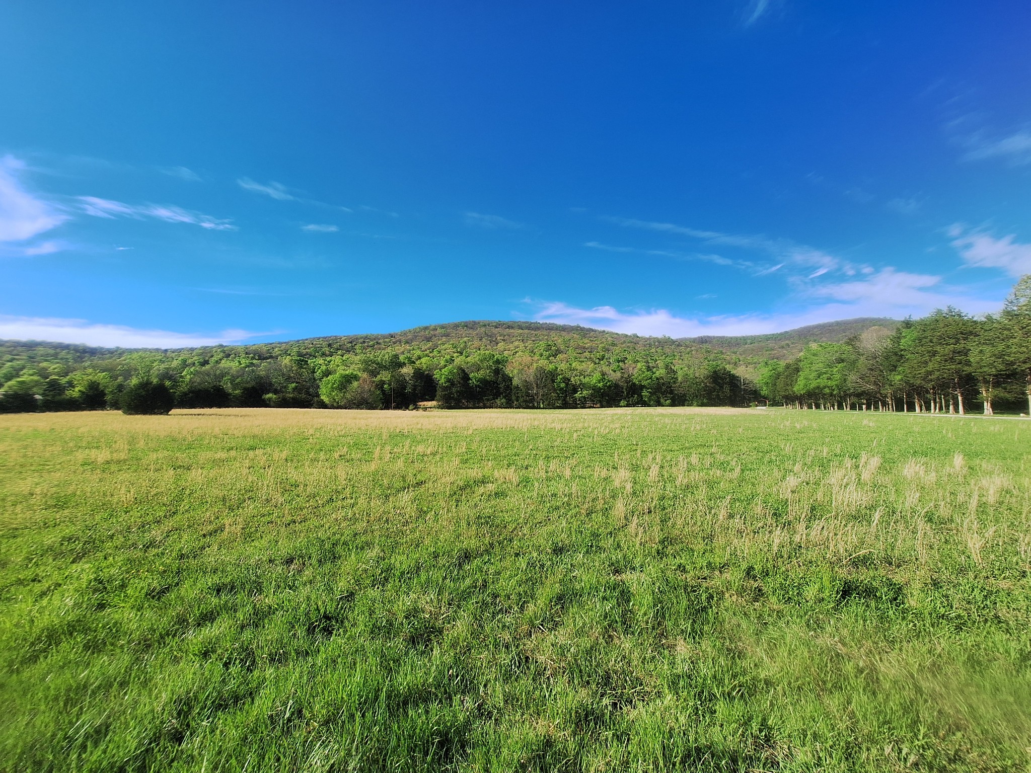 0 Hawkins Cove Road Cowan, TN 37318 - Photo 2 of 8 a view of a green field