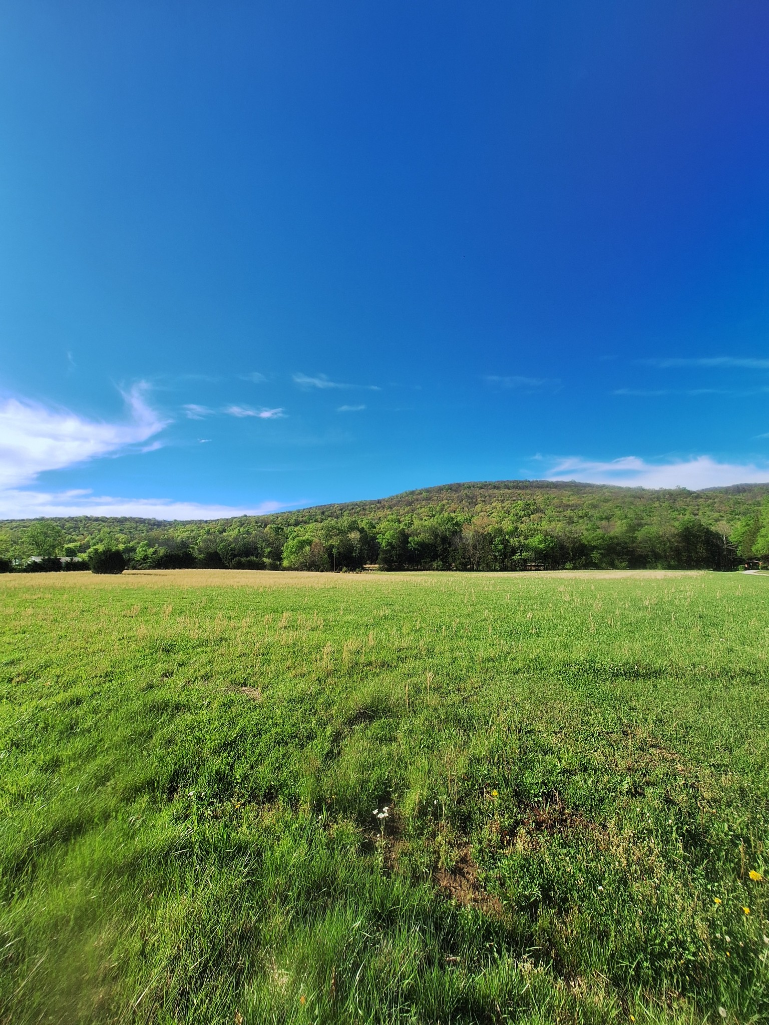 0 Hawkins Cove Road Cowan, TN 37318 - Photo 3 of 8 a view of an ocean