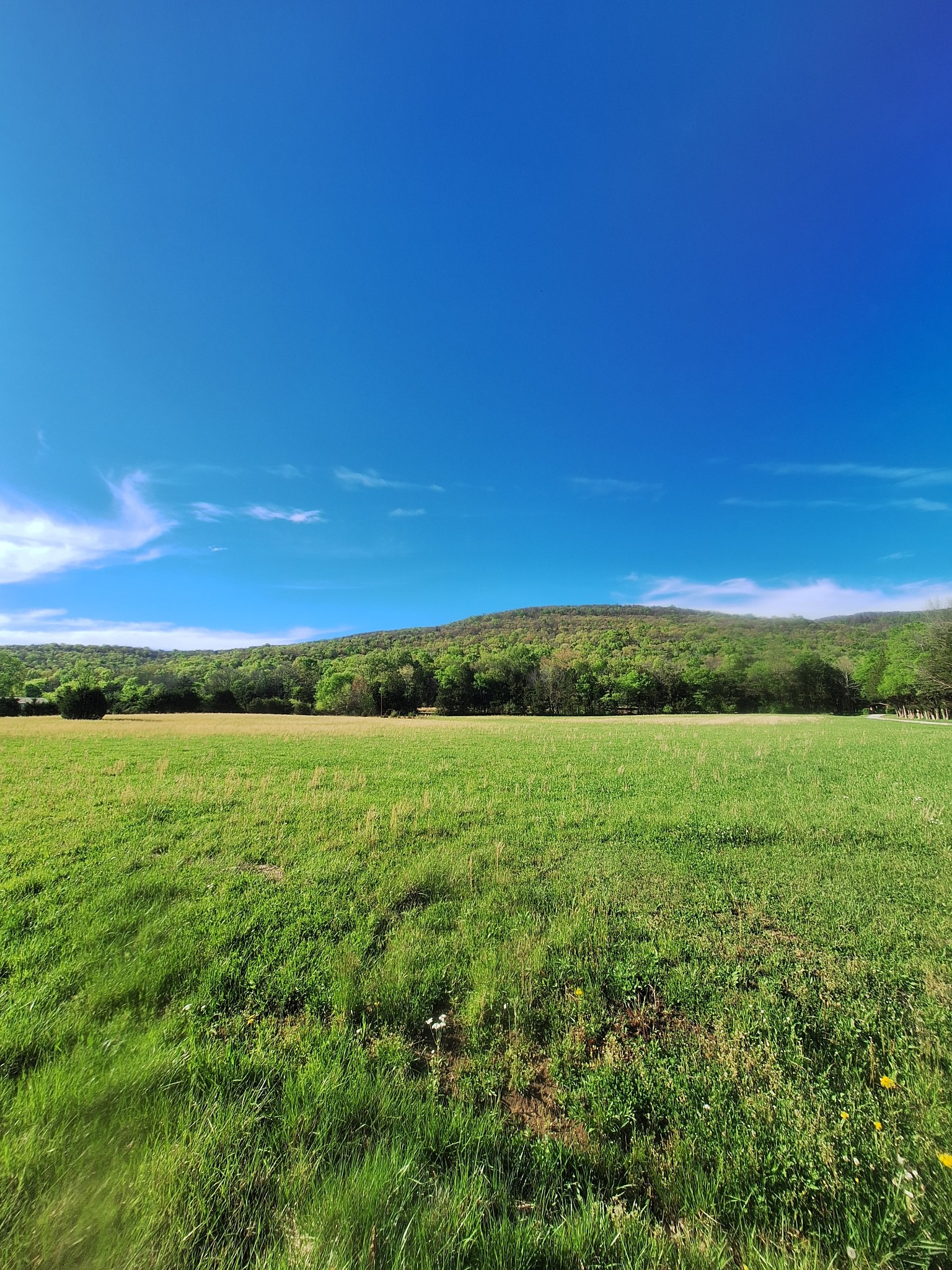0 Hawkins Cove Road Cowan, TN 37318 - Photo 4 of 8 a view of an ocean