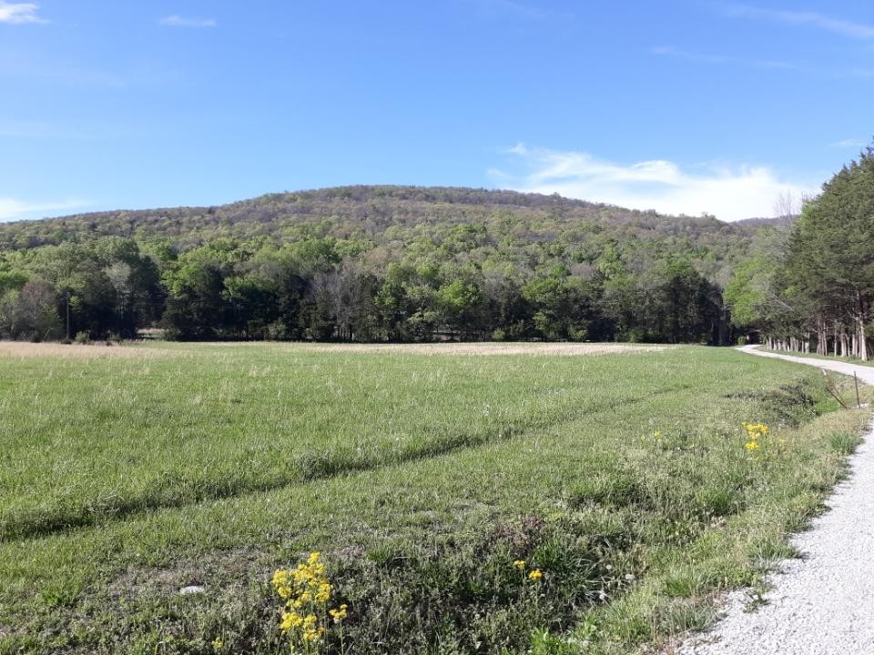 0 Hawkins Cove Road Cowan, TN 37318 - Photo 5 of 8 a view of outdoor space with mountain view
