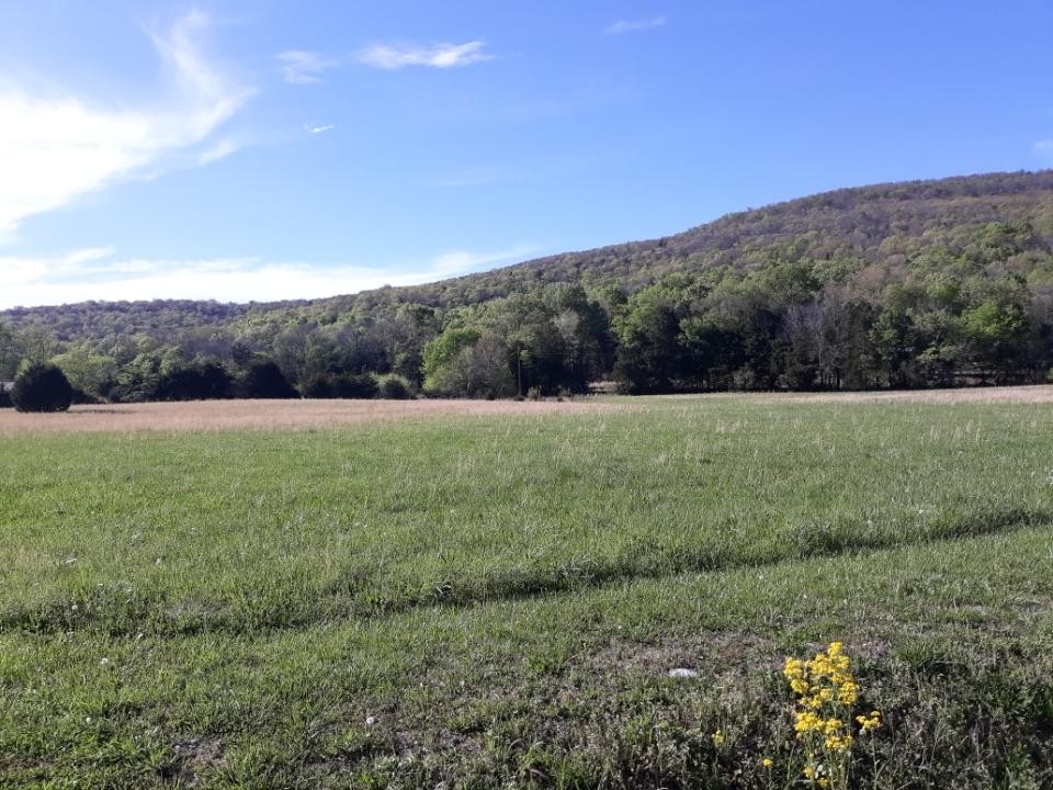 0 Hawkins Cove Road Cowan, TN 37318 - Photo 6 of 8 a view of a field with an ocean