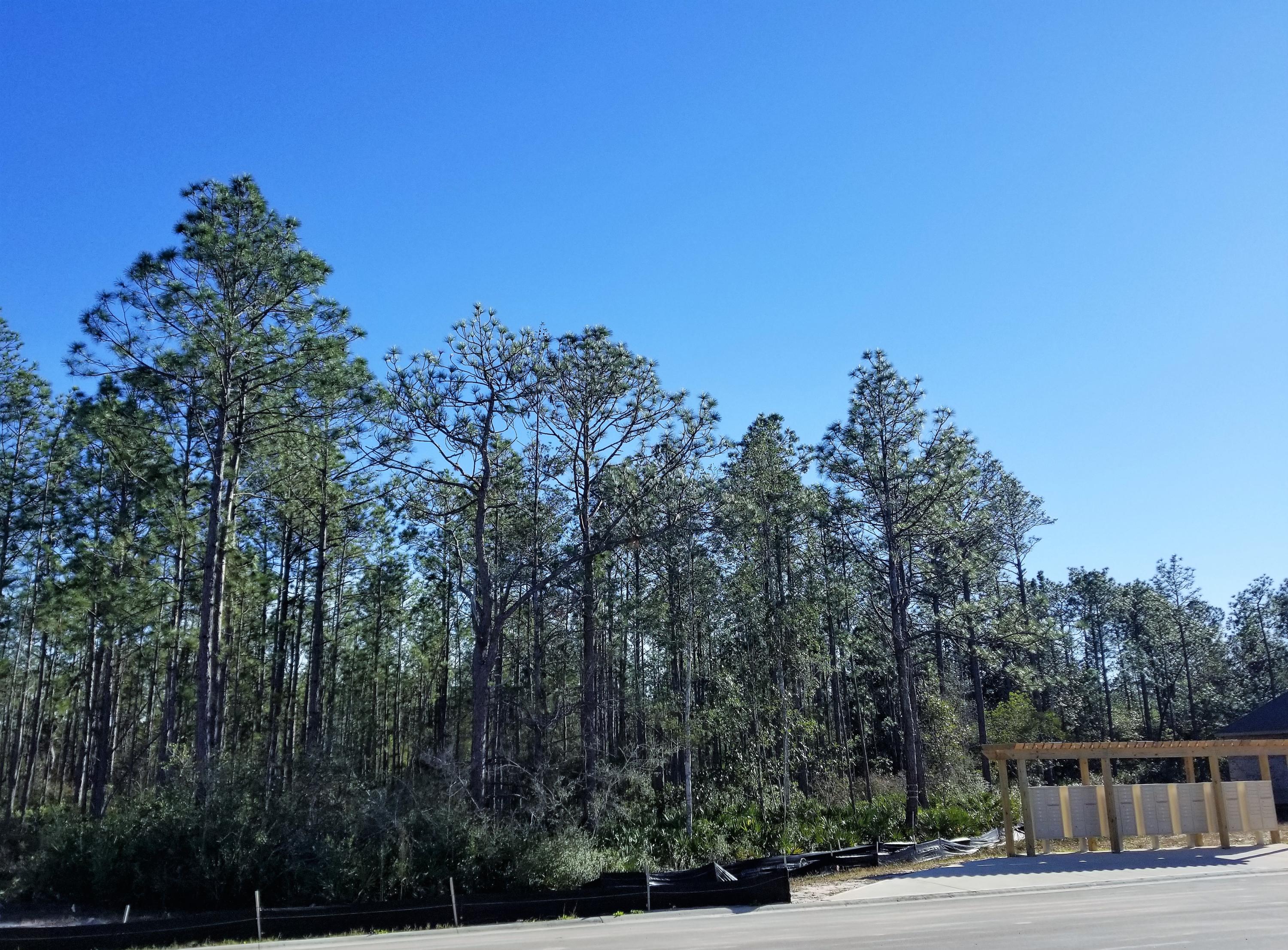 75 Bryant Road Santa Rosa Beach, FL 32459 - Photo 3 of 52