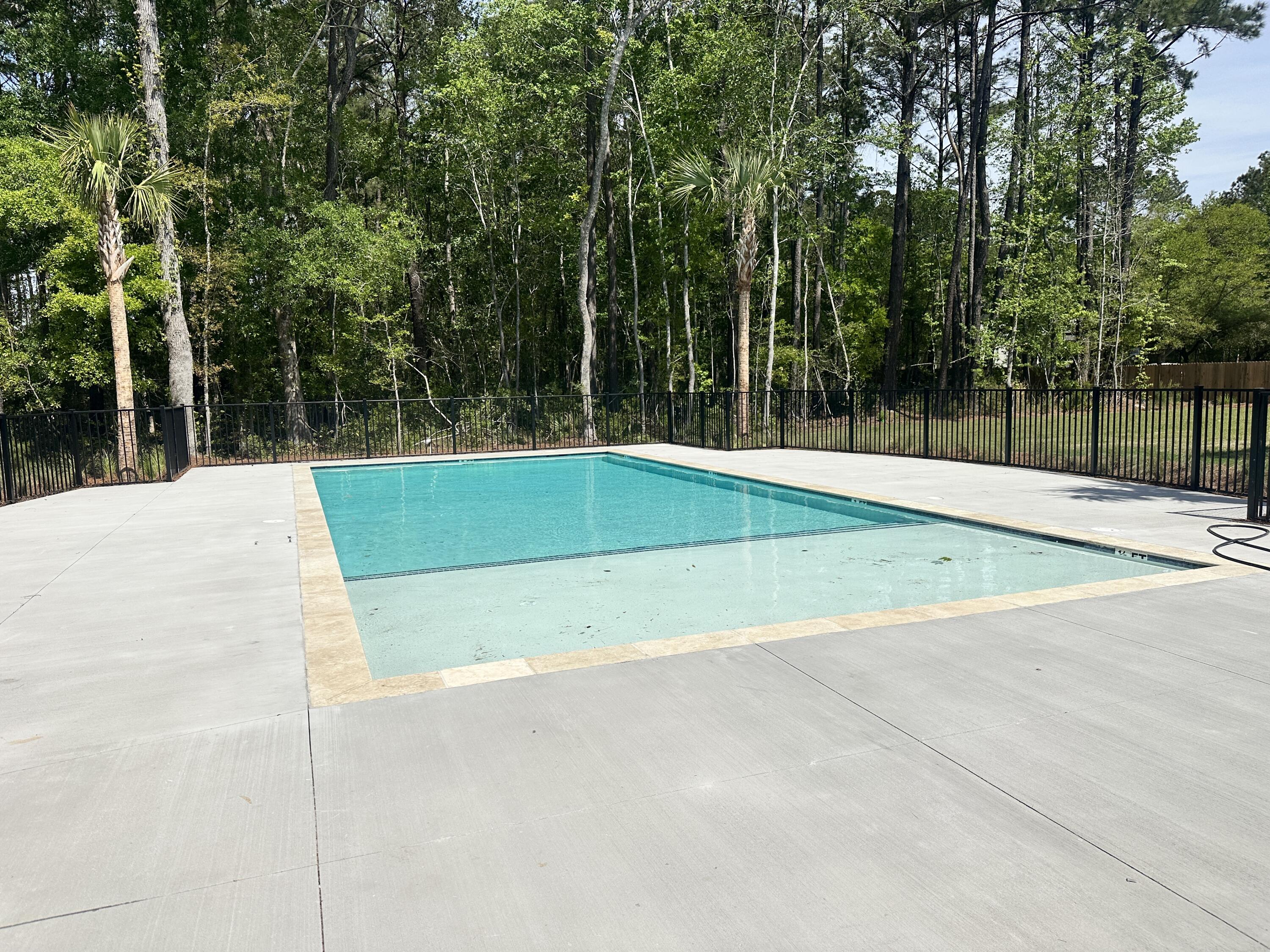 1301 Twin Rivers Drive Wando, SC 29492 - Photo 41 of 41 Pool