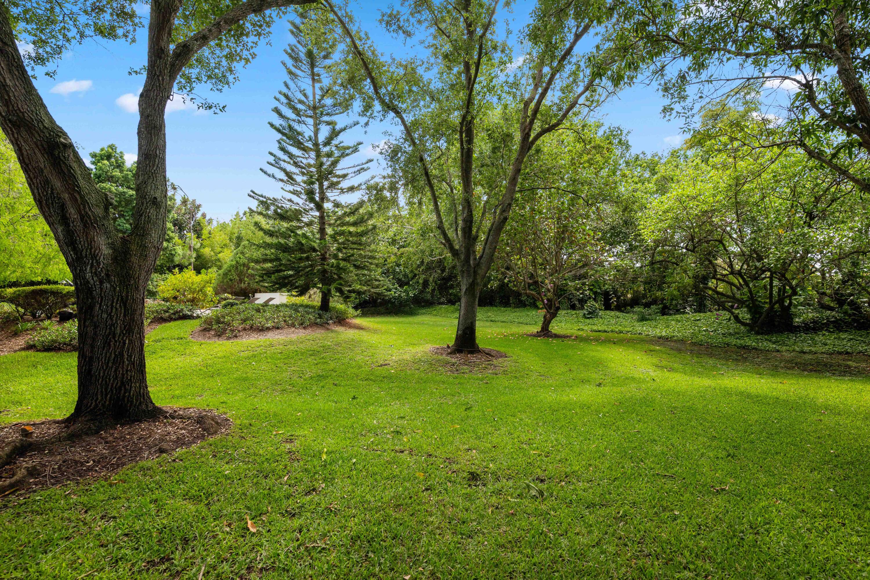 18660 Long Lake Drive Boca Raton, FL 33496 - Photo 60 of 75 a view of a yard with a tree