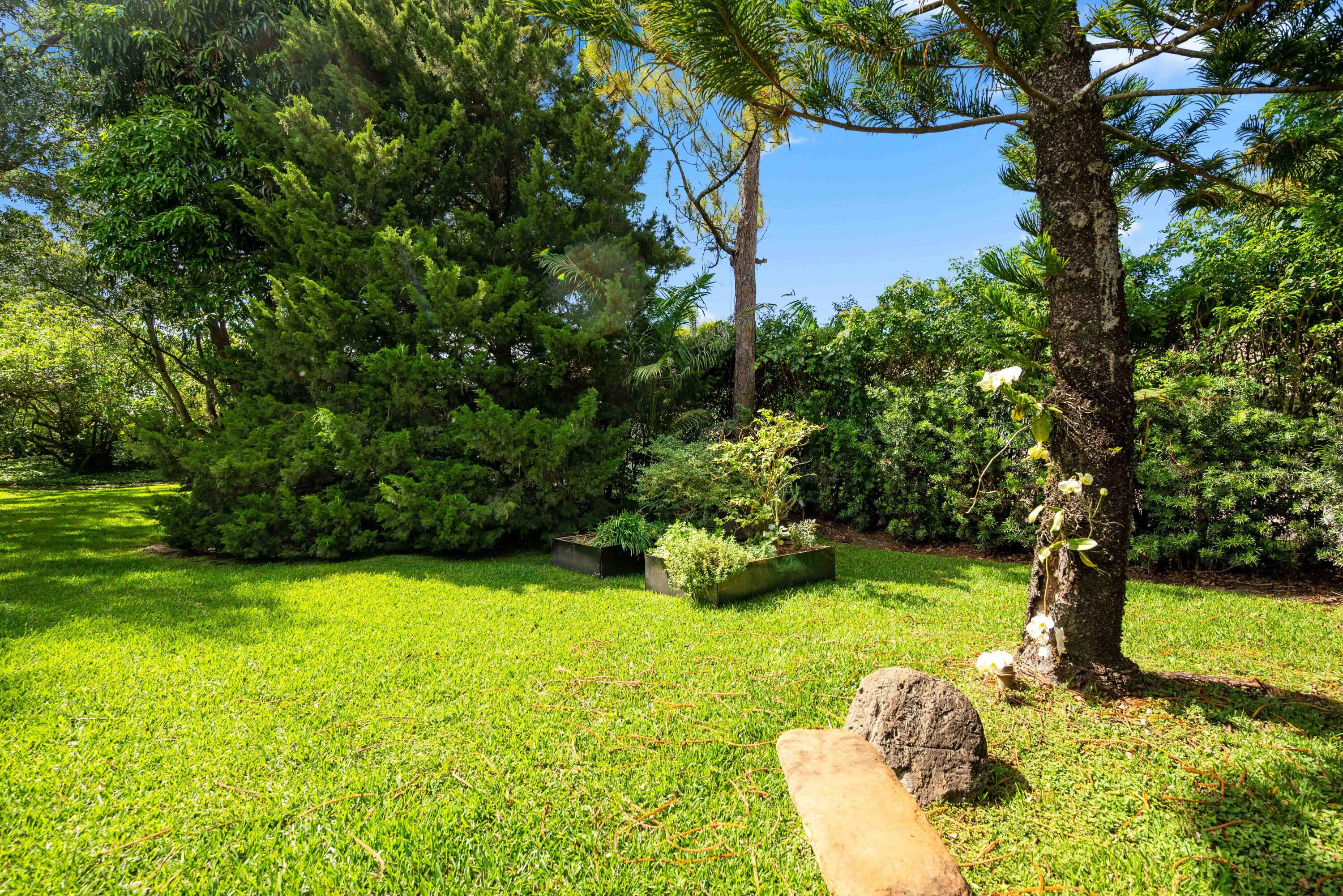 18660 Long Lake Drive Boca Raton, FL 33496 - Photo 61 of 75 a view of a garden with a tree