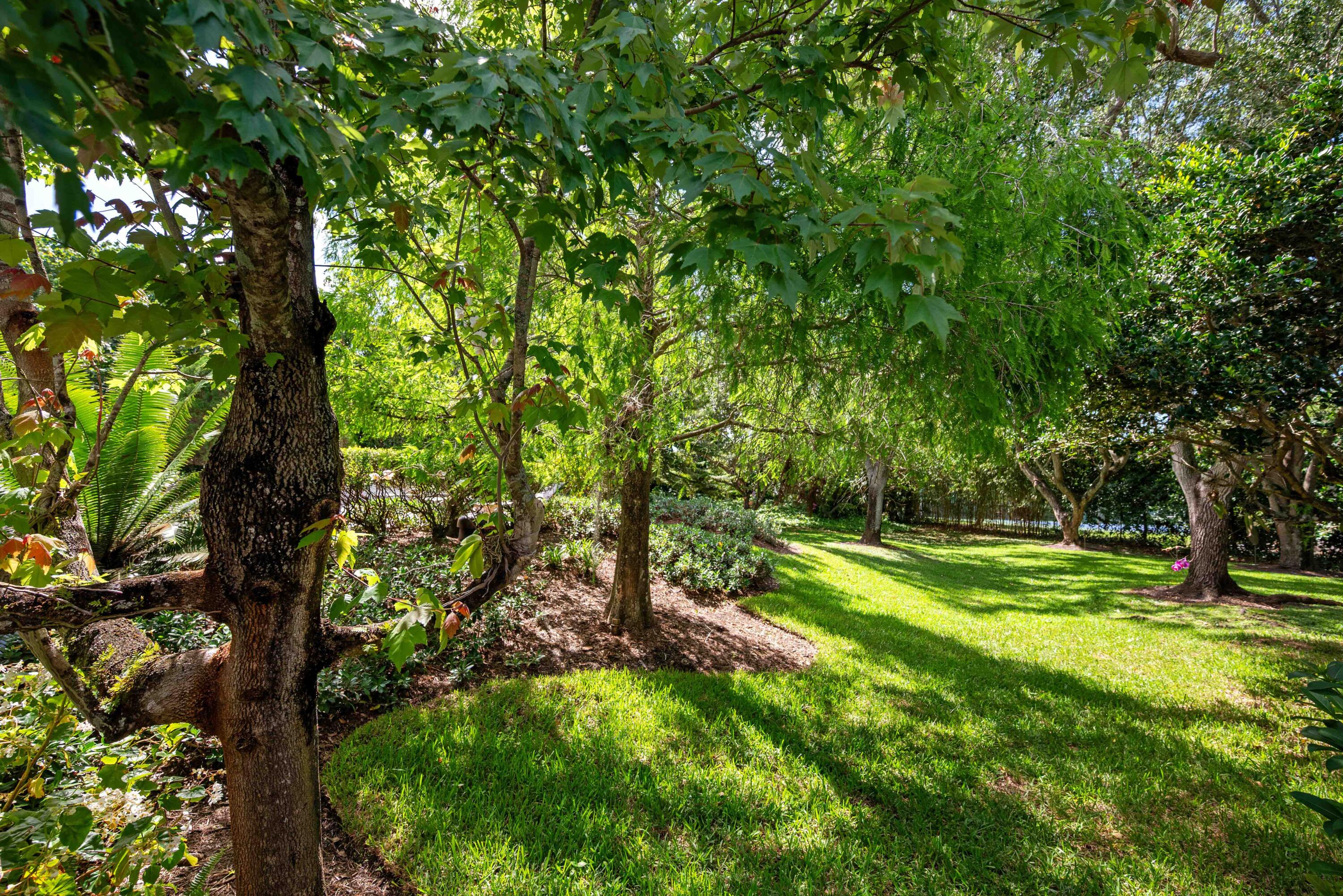 18660 Long Lake Drive Boca Raton, FL 33496 - Photo 64 of 75 a view of a backyard with large trees