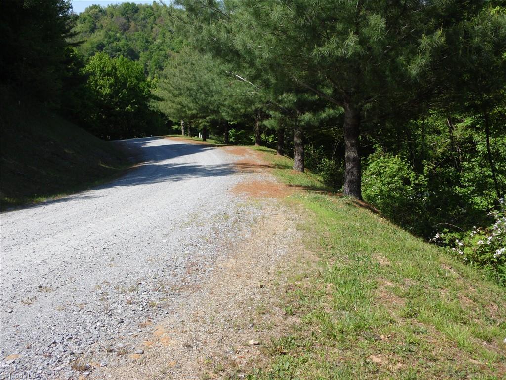 Lot #37 Ridgewood Road Sparta, NC 28675 - Photo 11 of 12