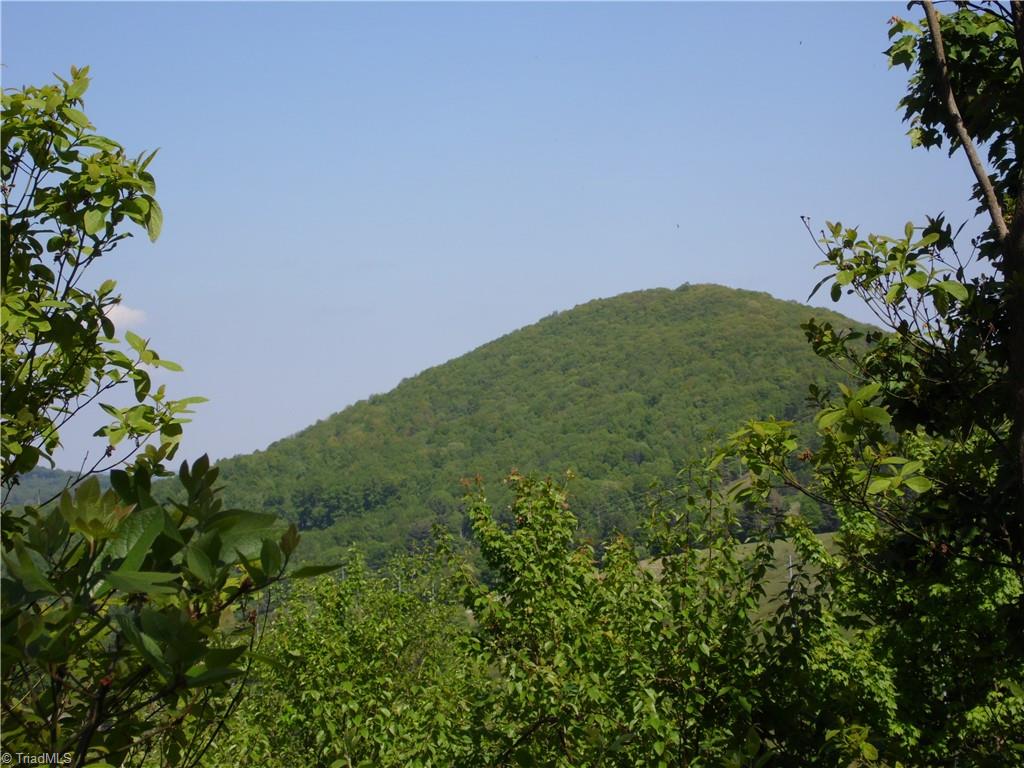 Lot #37 Ridgewood Road Sparta, NC 28675 - Photo 3 of 12