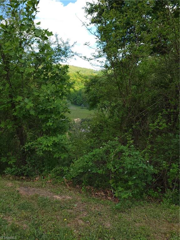 Lot #37 Ridgewood Road Sparta, NC 28675 - Photo 4 of 12