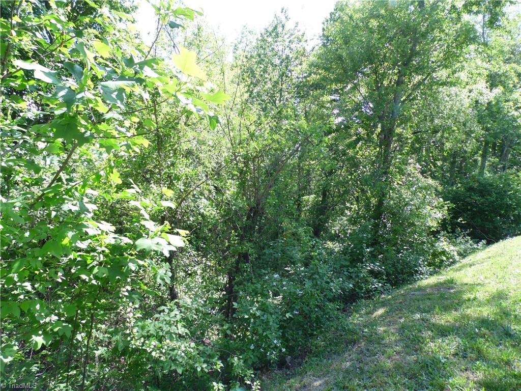 Lot #37 Ridgewood Road Sparta, NC 28675 - Photo 7 of 12