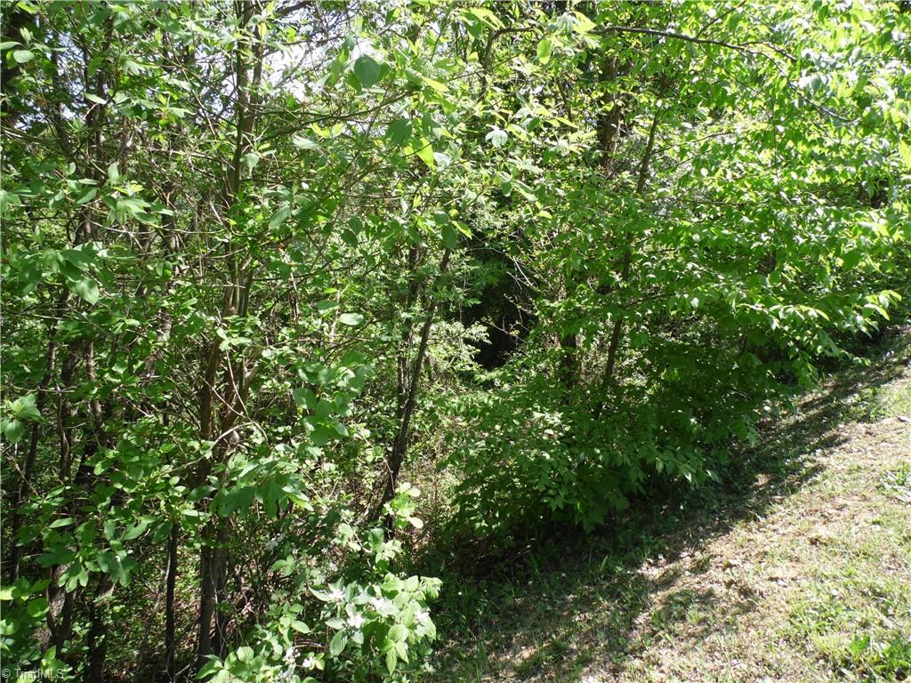 Lot #37 Ridgewood Road Sparta, NC 28675 - Photo 8 of 12