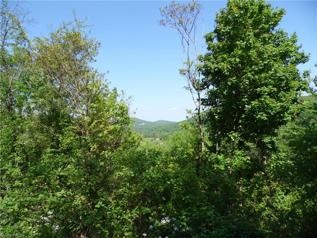 Lot #37 Ridgewood Road Sparta, NC 28675 - Photo 9 of 12