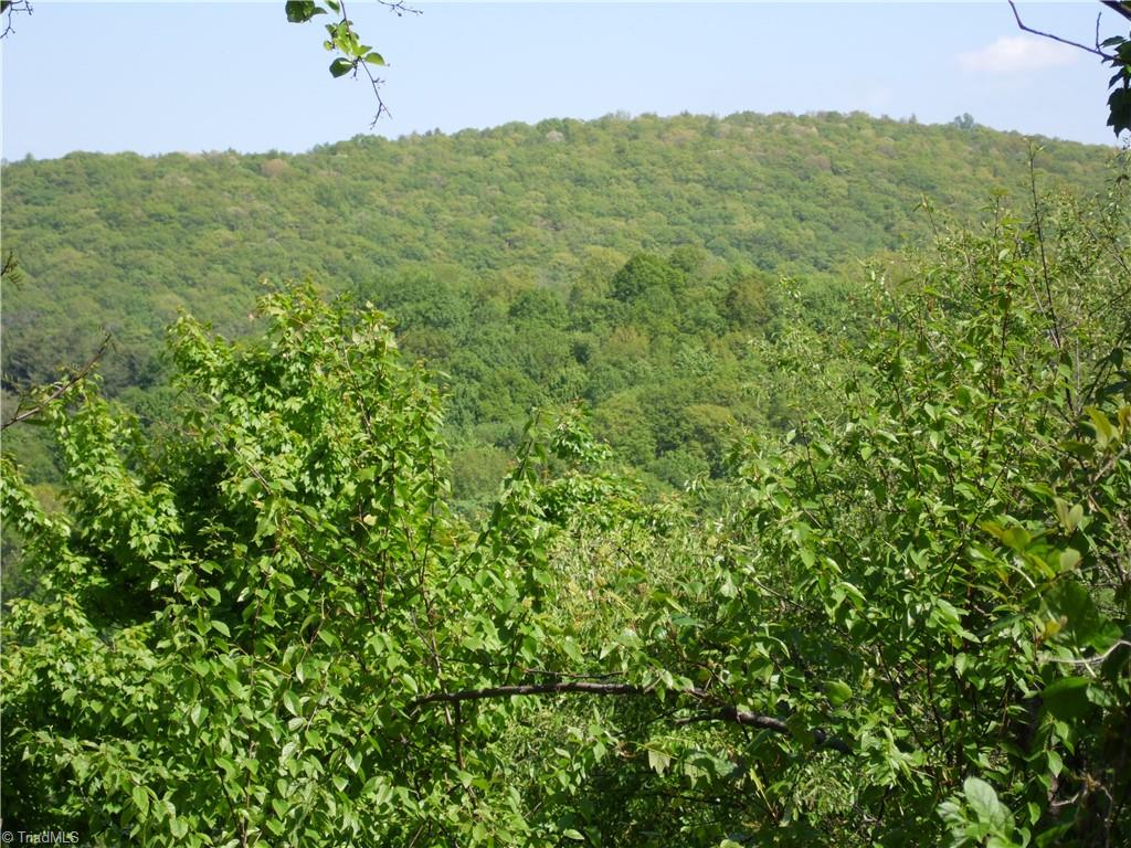 Lot #37 Ridgewood Road Sparta, NC 28675 - Photo 10 of 12