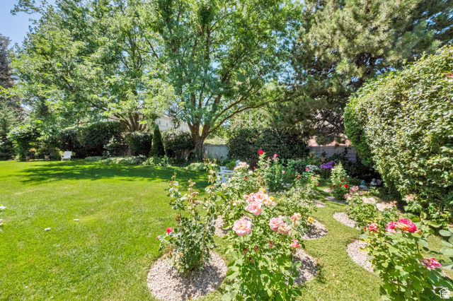 7740 Keswick Road Sandy, UT 84093 - Photo 56 of 74 Expansive green lawn with mature trees and a vibrant flower bed featuring various blooming plants